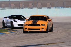 IMG_1068-Copy