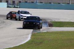 IMG_0809-Copy