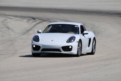 IMG_0951-Copy