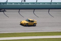IMG_1010-Copy