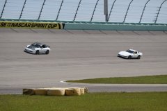 IMG_1068-Copy