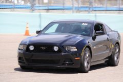 IMG_1146-Copy