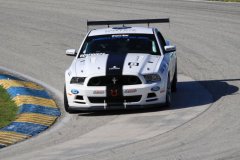 img_0234