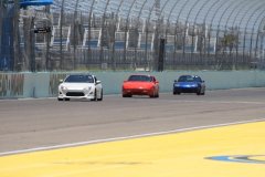 IMG_0862-Copy