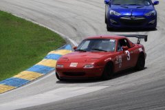 IMG_0799