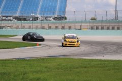IMG_2309-Copy