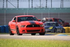 IMG_4014