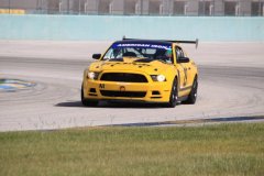 IMG_4222-Copy