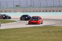 IMG_4239