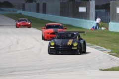 IMG_4291