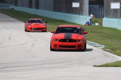 IMG_4292