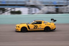 IMG_5873