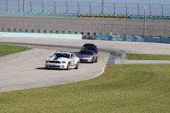 IMG_0523-Copy