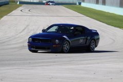 IMG_0556