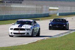 IMG_0589