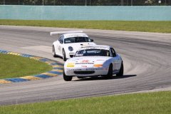 IMG_0943