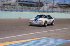 IMG_1015-Copy