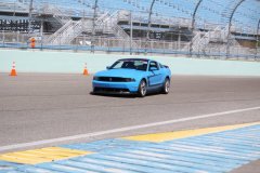 IMG_1032-Copy