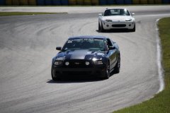 IMG_1053-Copy