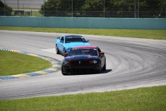 IMG_1074-Copy