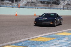 IMG_1162-Copy