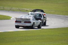 IMG_0705