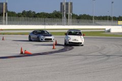 IMG_1556-Copy
