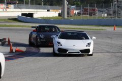 IMG_1568-Copy