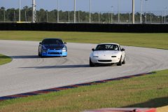IMG_1655-Copy