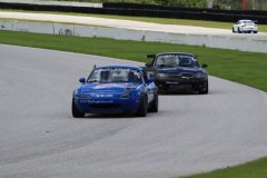 IMG_1761-Copy