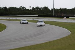 IMG_3391-Copy