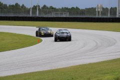 IMG_3422-Copy