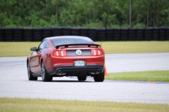 IMG_3519-Copy