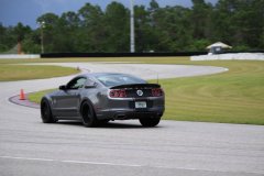 IMG_3525-Copy