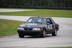 IMG_6104