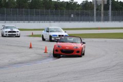 IMG_0780