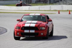 IMG_0545