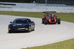 IMG_0810
