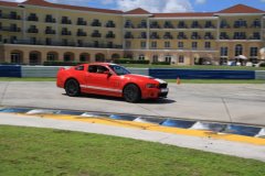 IMG_3032-Copy