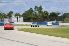 IMG_3100-Copy