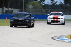IMG_3221-Copy