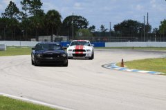 IMG_3222-Copy